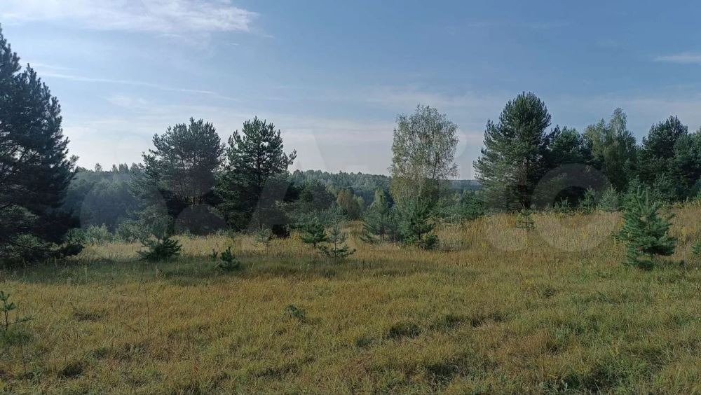 Kaluzhskoj_oblasti-2_uchastok_pod_glemping