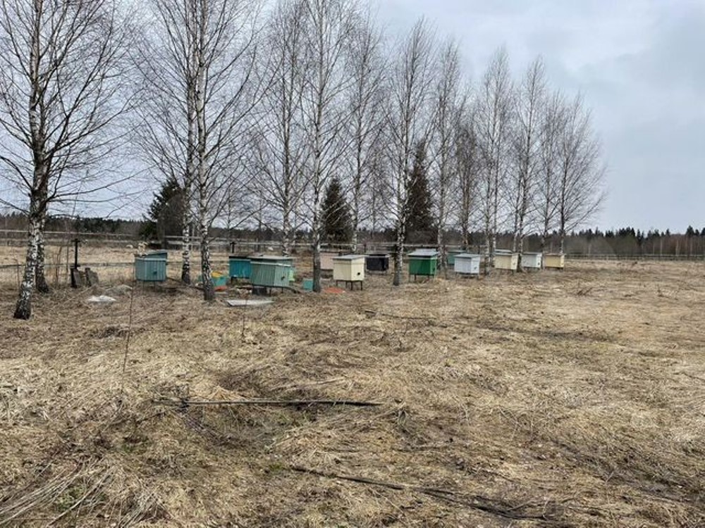 Земельный участок в Московской области под глэмпинг