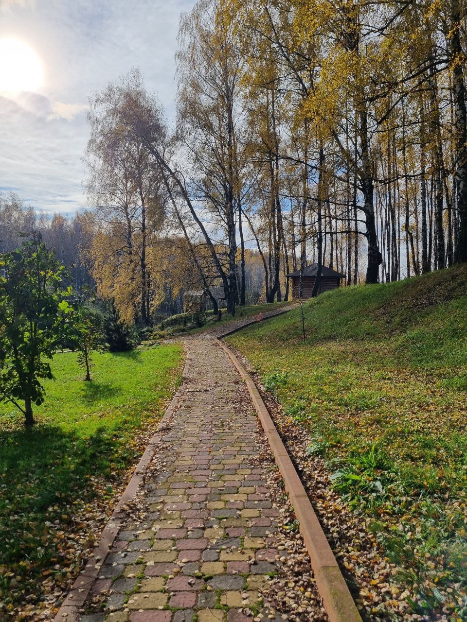 Участок под глэмпинг в Урицком районе