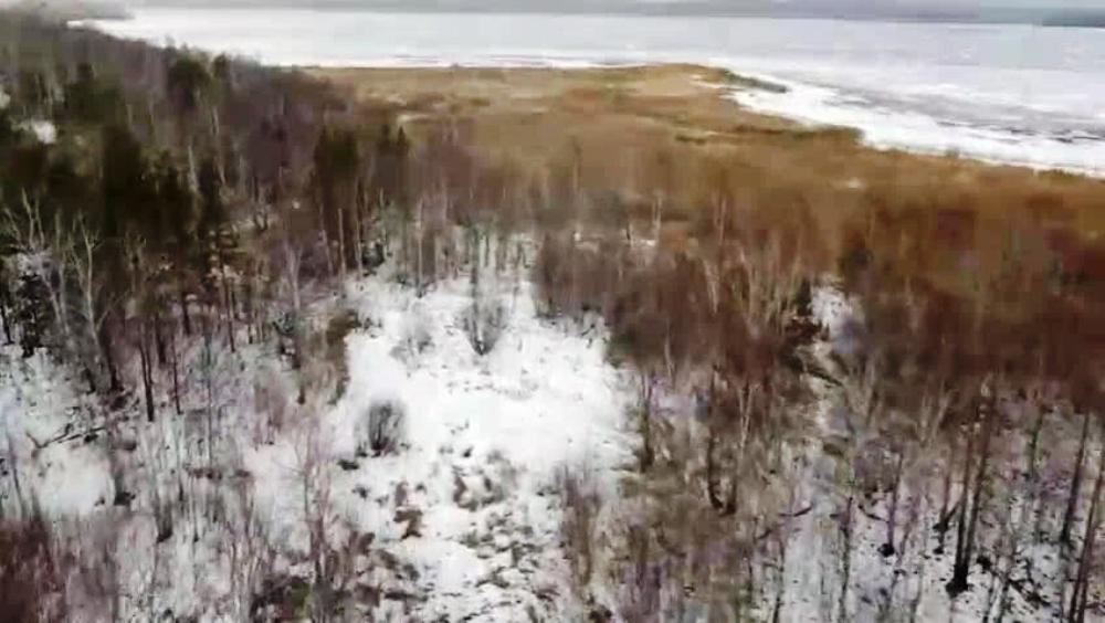 Участок под глэмпинг в Свердловской области