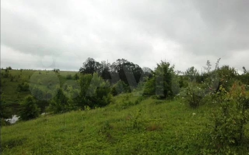 Участок в Воронежской области